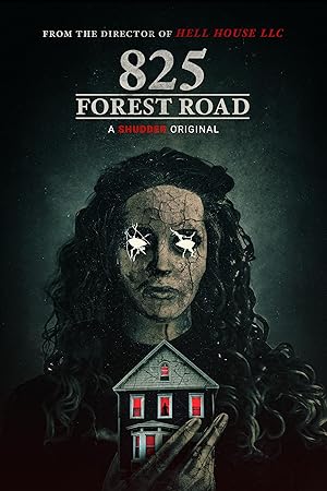 دانلود فیلم 825 Forest Road 2025 جاده جنگلی 825