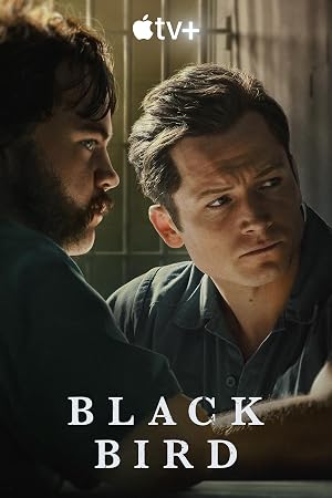 دانلود سریال Black Bird 2022 پرنده سیاه