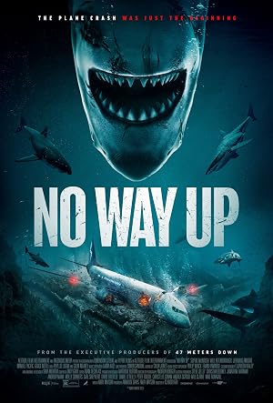 دانلود فیلم No Way Up 2024 هیچ راهی بالا نیست