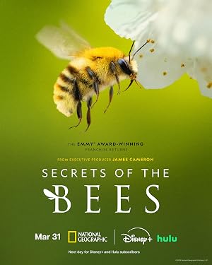 دانلود سریال Secrets of the Bees 2026 اسرار زنبورها