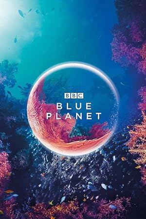 دانلود سریال The Blue Planet 2001 سیاره آبی